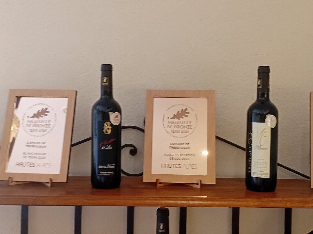 Domaine de Tresbaudon-Tallard必去景点