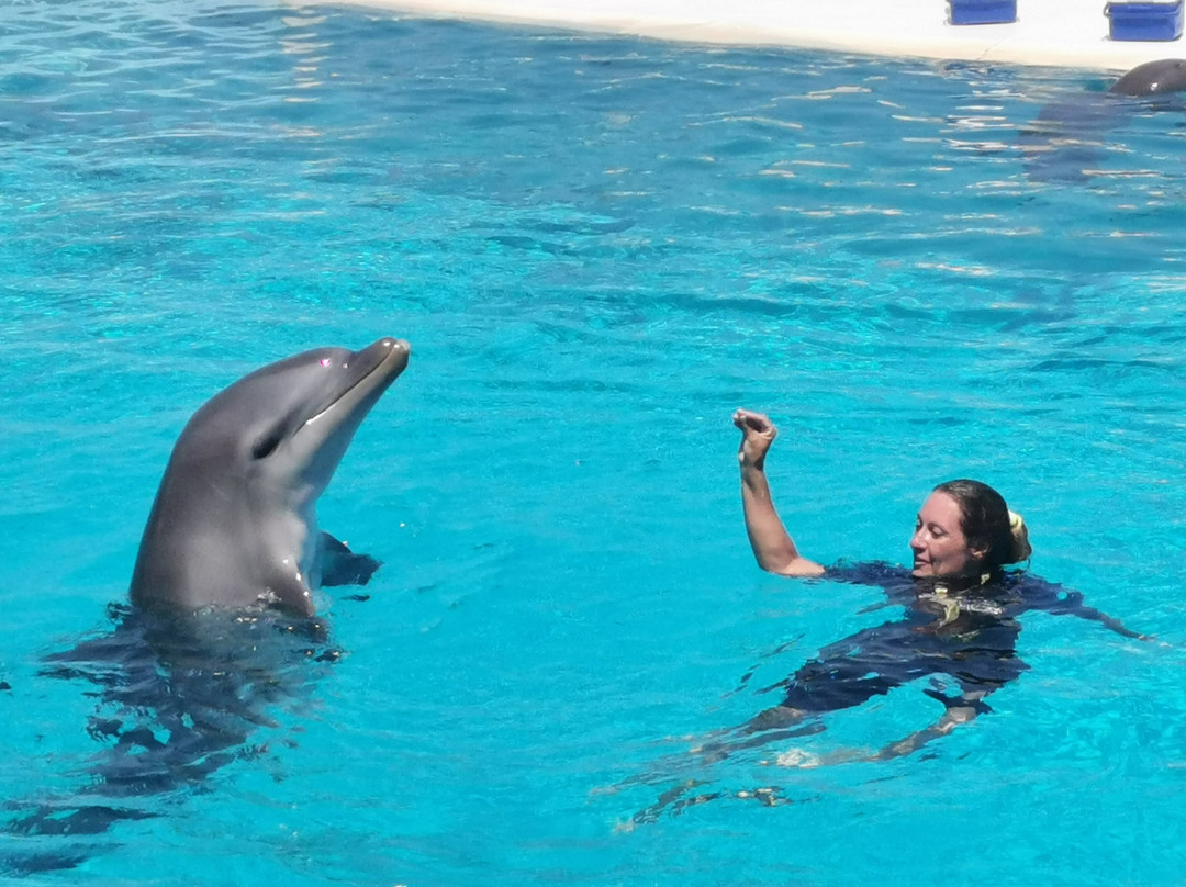 Mediterraneo Marine Park-Bahar ic-Caghaq必去景点