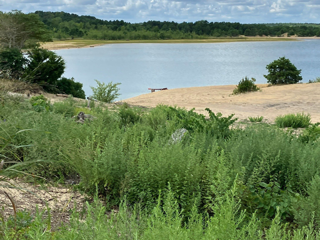 Barnegat Branch Trail-Lacey Township必去景点