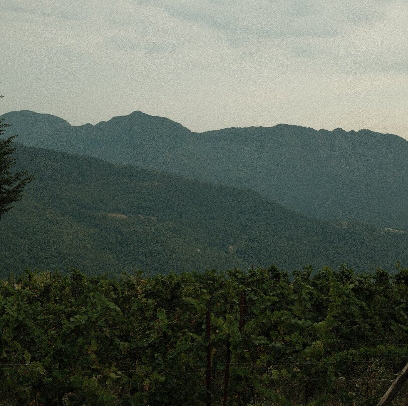 Casale alle Piane-Levigliani必去景点