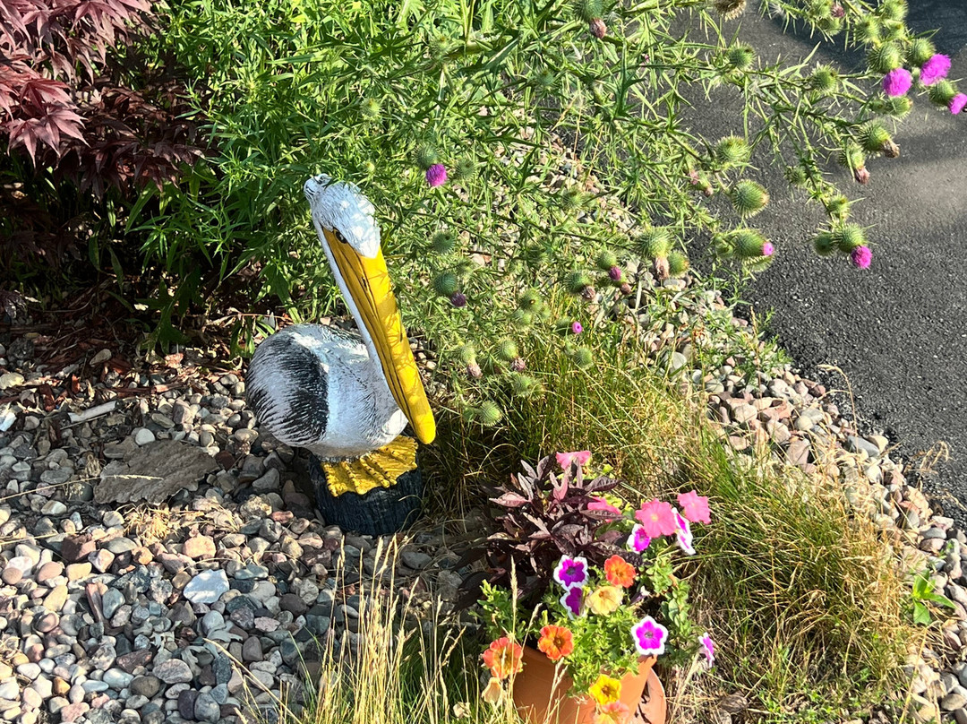 Scenic Shore Inn主图