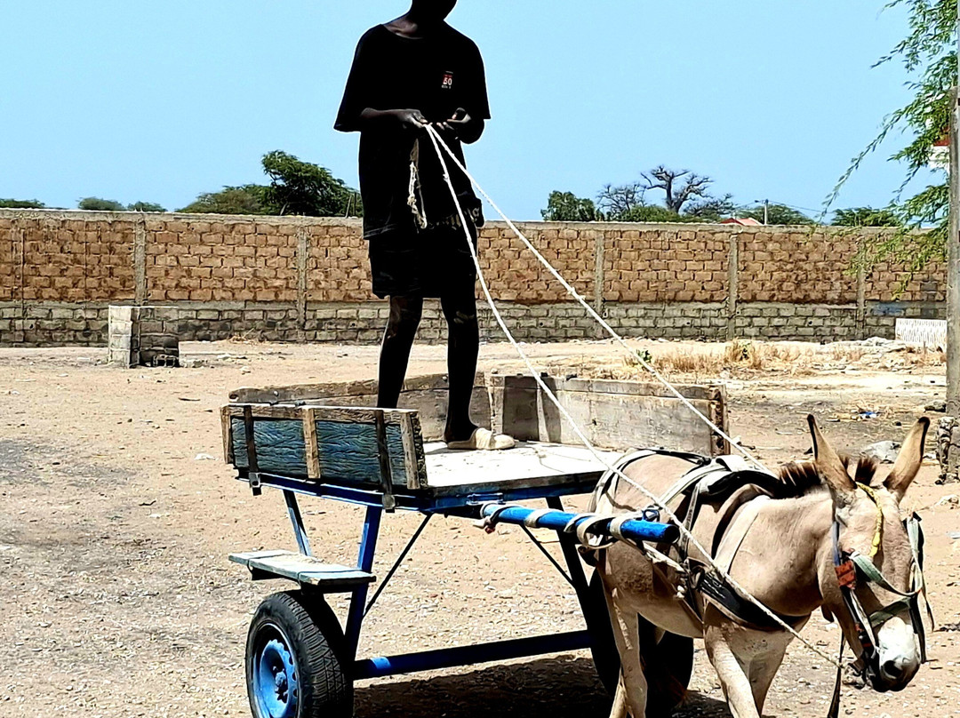 Excursions Départ Hôtel Riu Baobab-Ponto必去景点