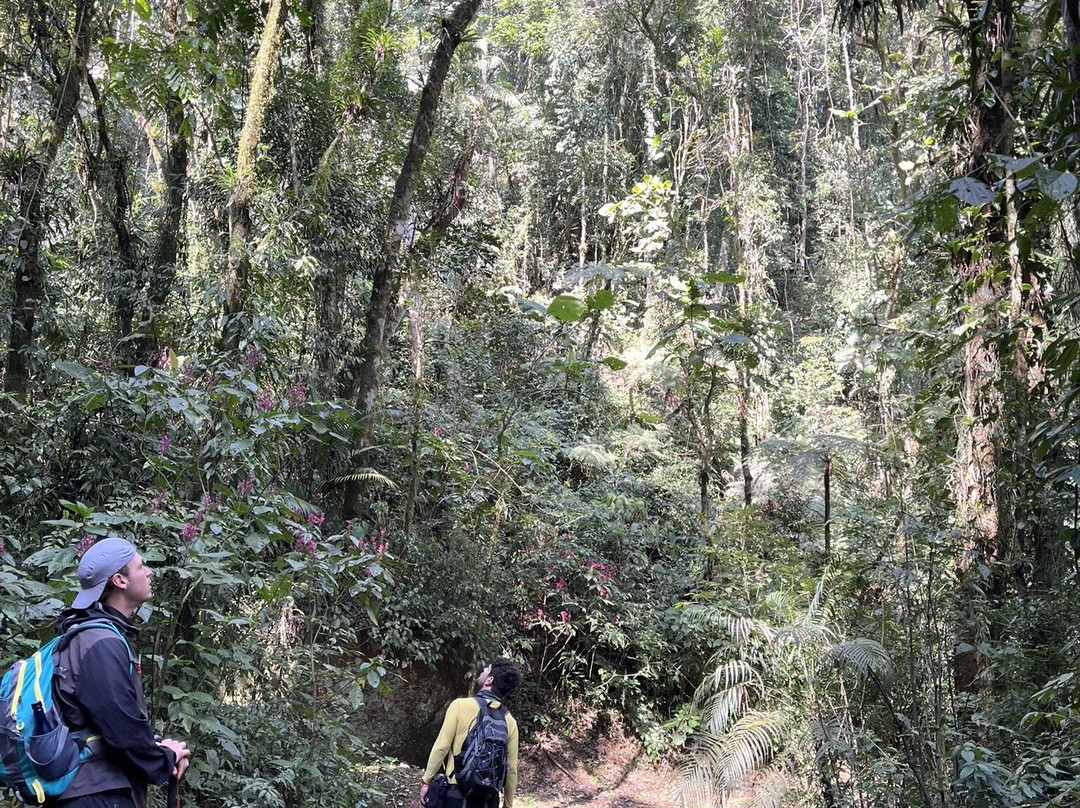 Focinho D'Anta Peak-Sao Francisco Xavier必去景点