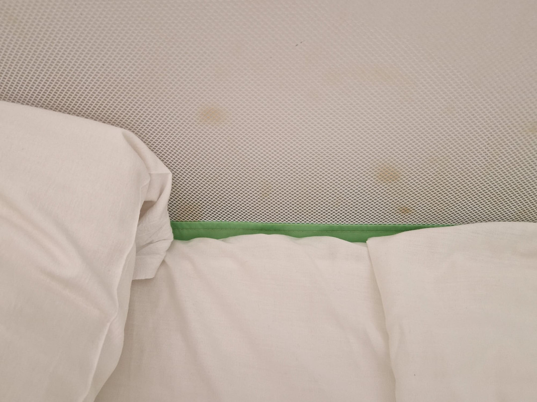 Hotel Saint Tropez主图