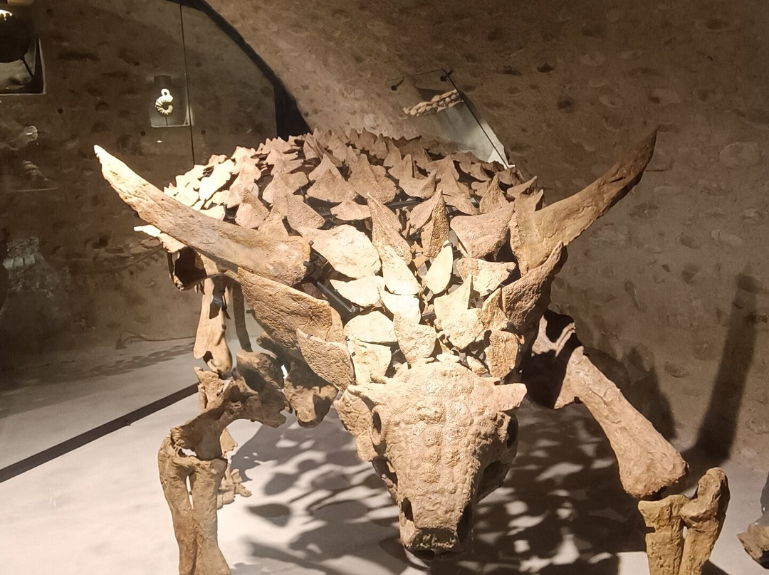 Paléogalerie-Salignac必去景点