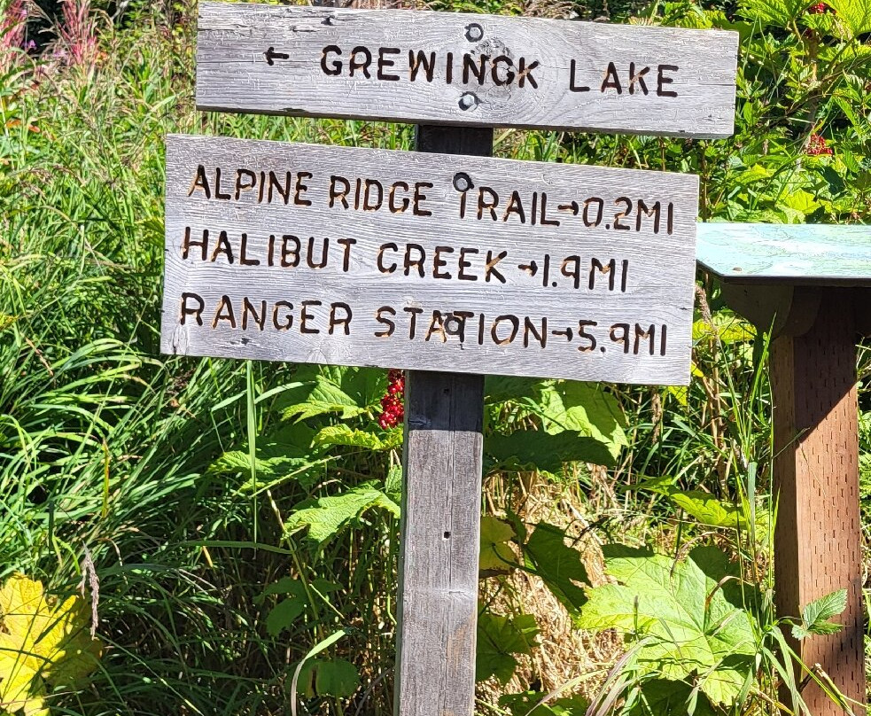 49North Alaskan Adventures-荷马必去景点