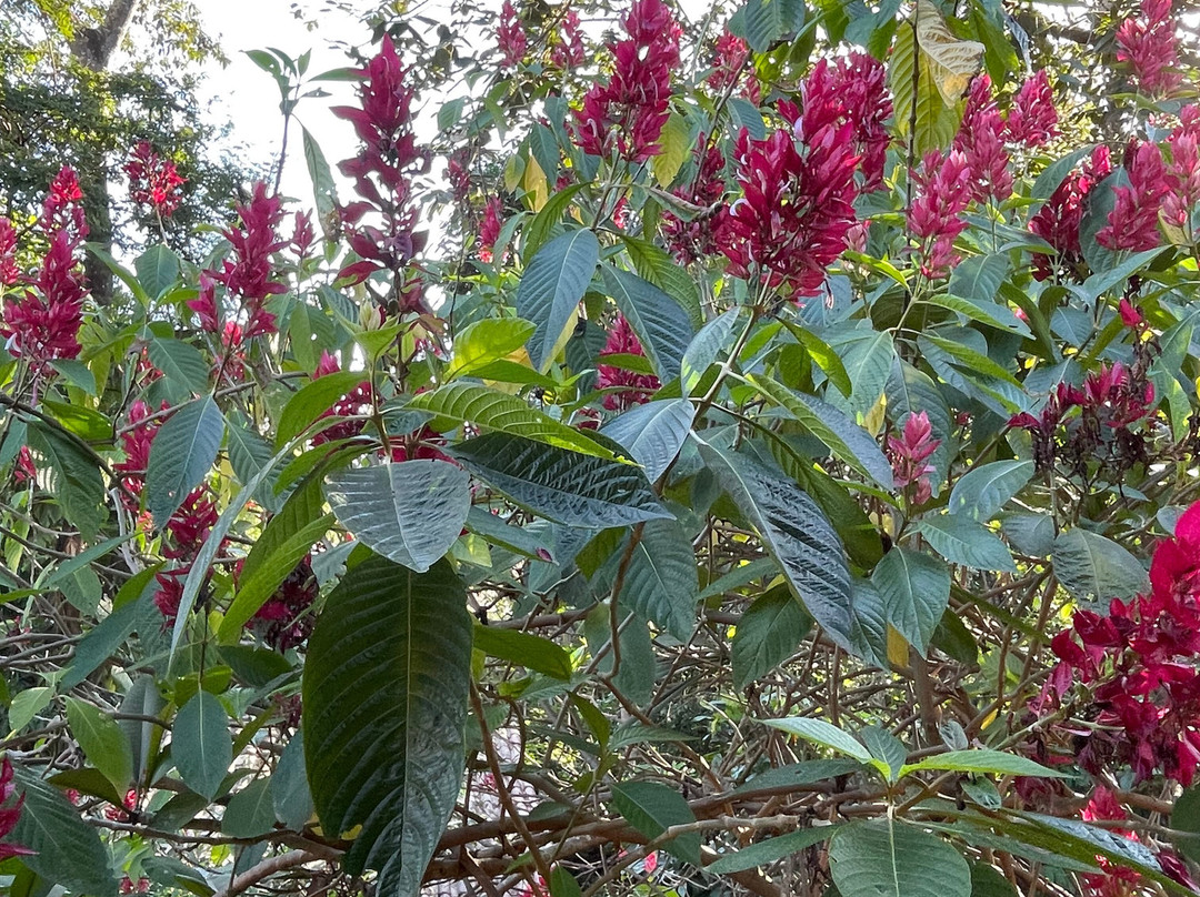 Pousada Vila Serrano主图