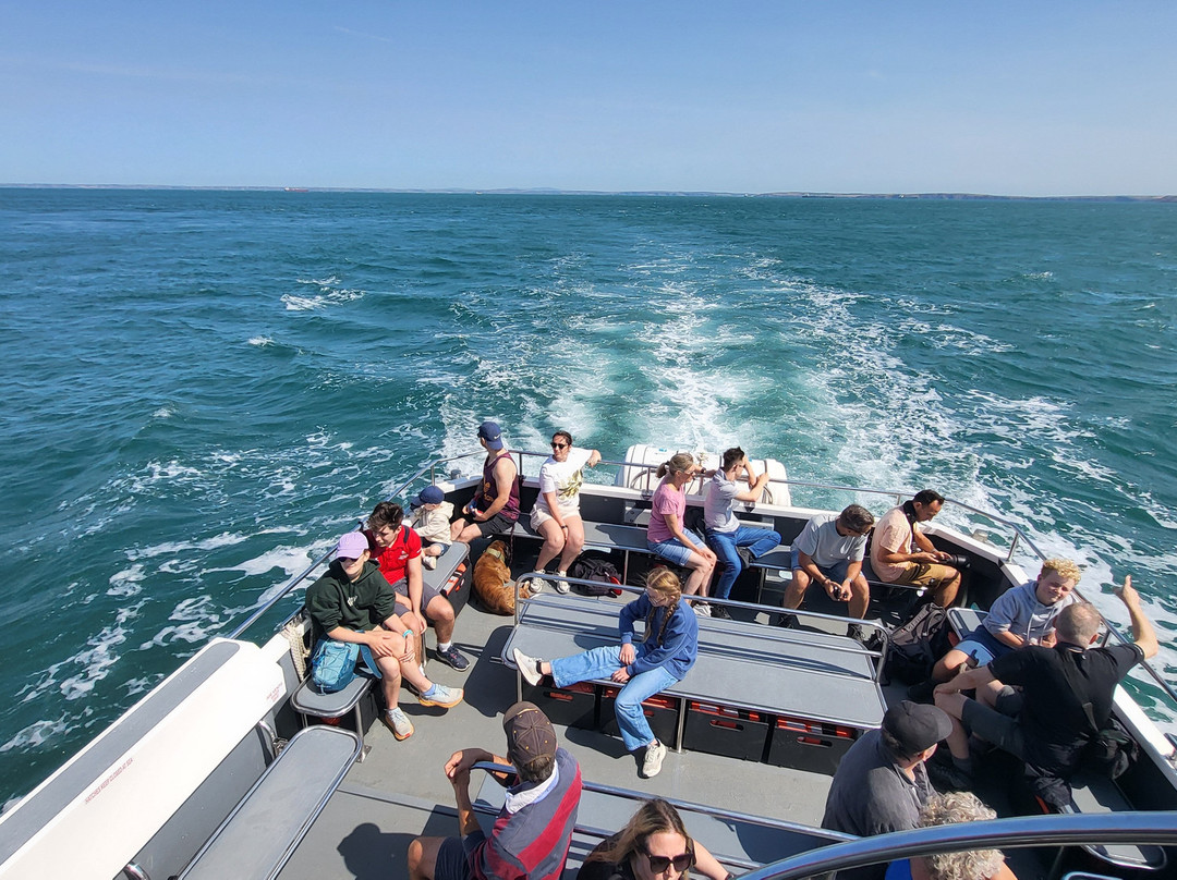 Pembrokeshire Islands Boat Trips-Marloes必去景点