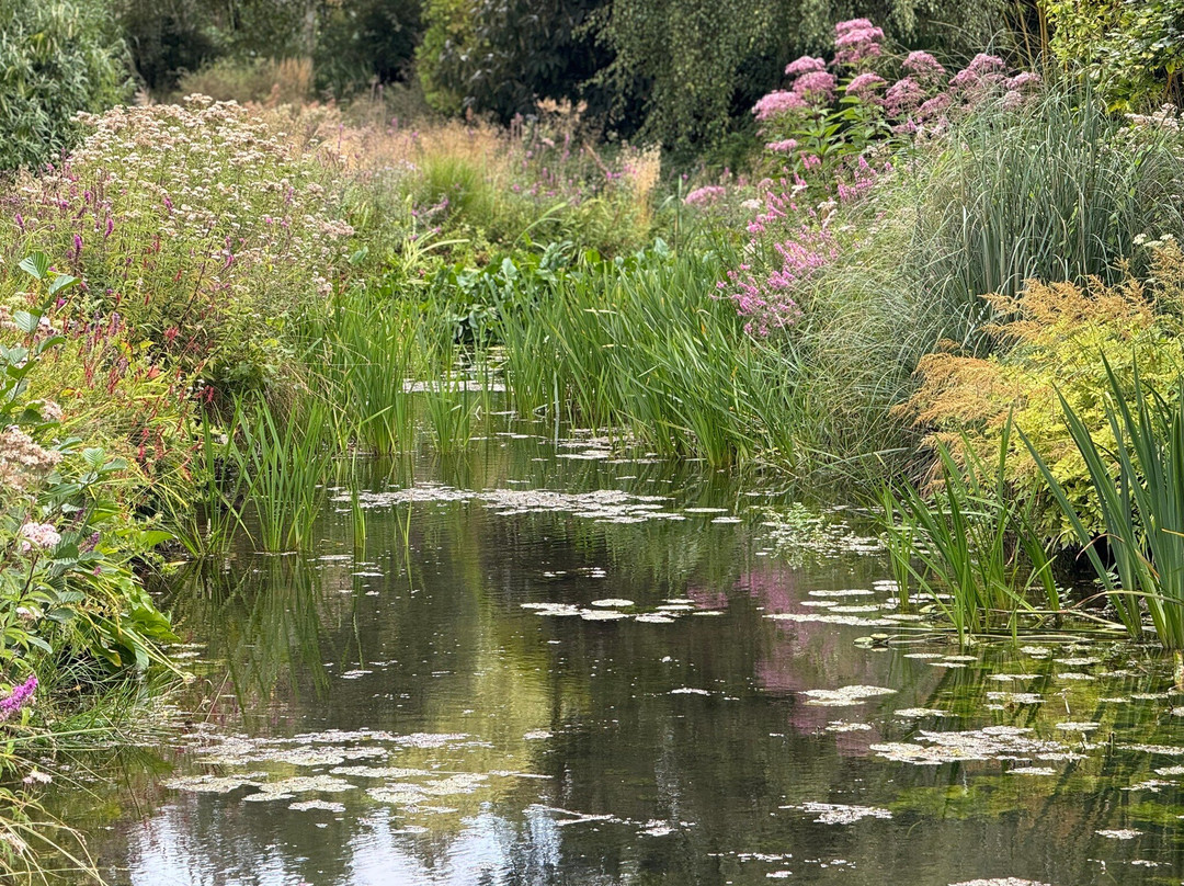 Gooderstone Water Gardens & Nature Trails-金斯林必去景点