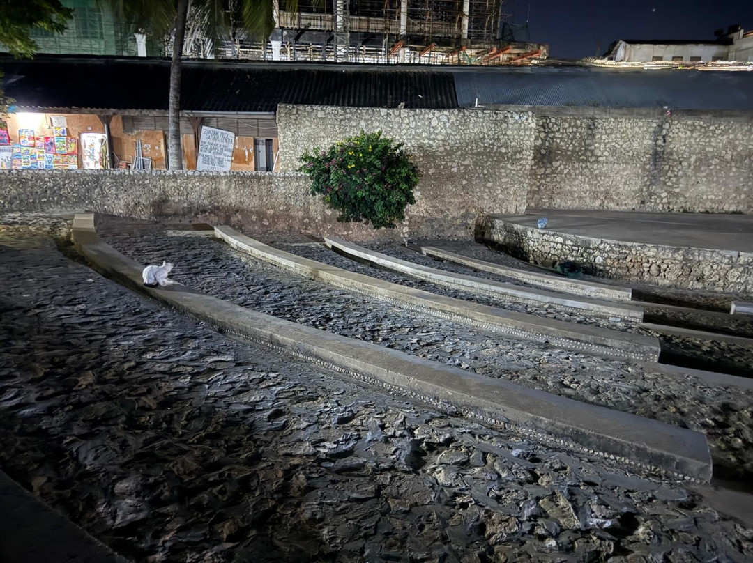The Old Fort (Ngome Kongwe)-石头城必去景点