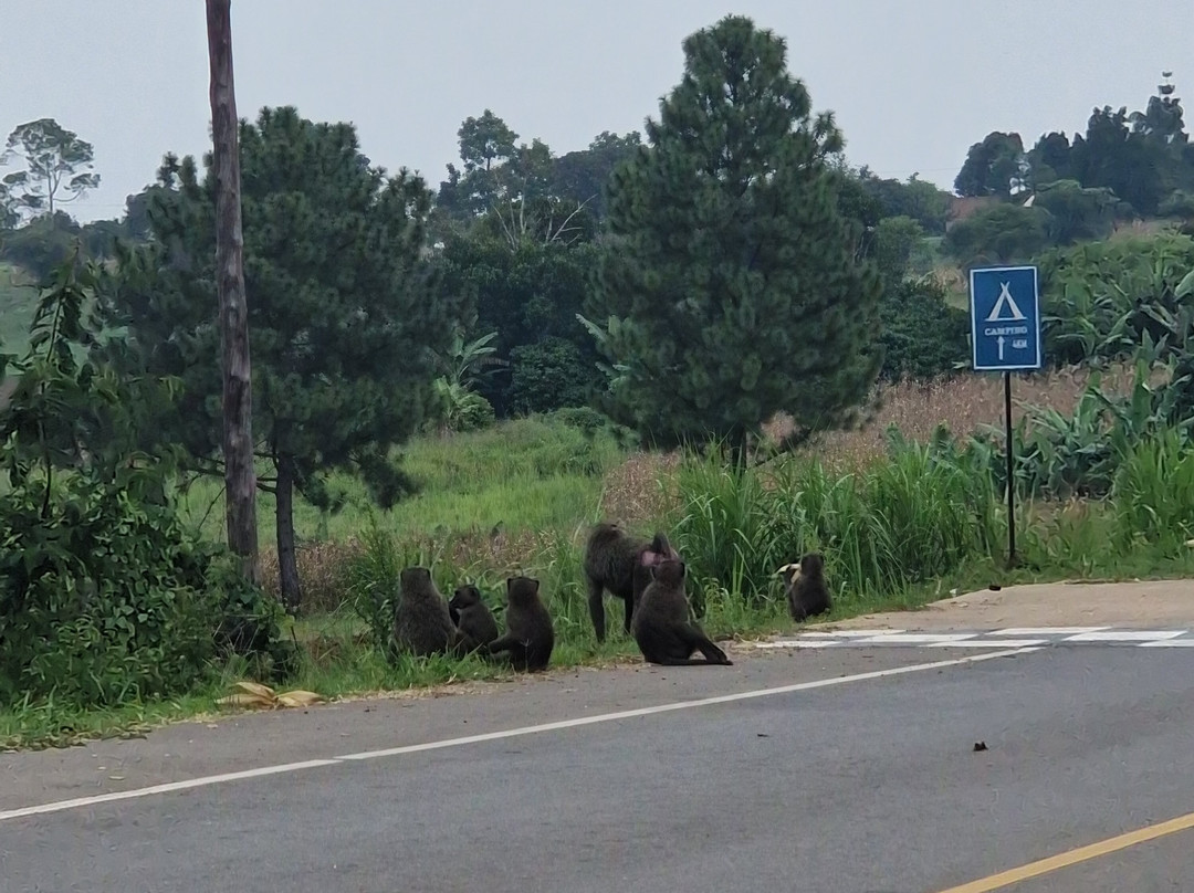 Eros Travelogue-金贾必去景点