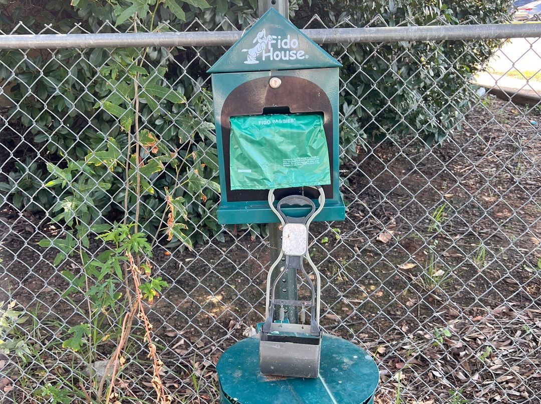 Staybridge Suites Wichita Falls By IHG主图