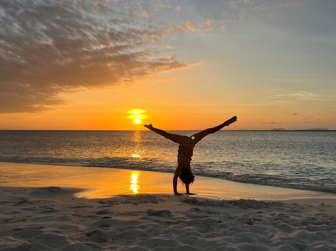 Te Amo Beach-Kralendijk必去景点