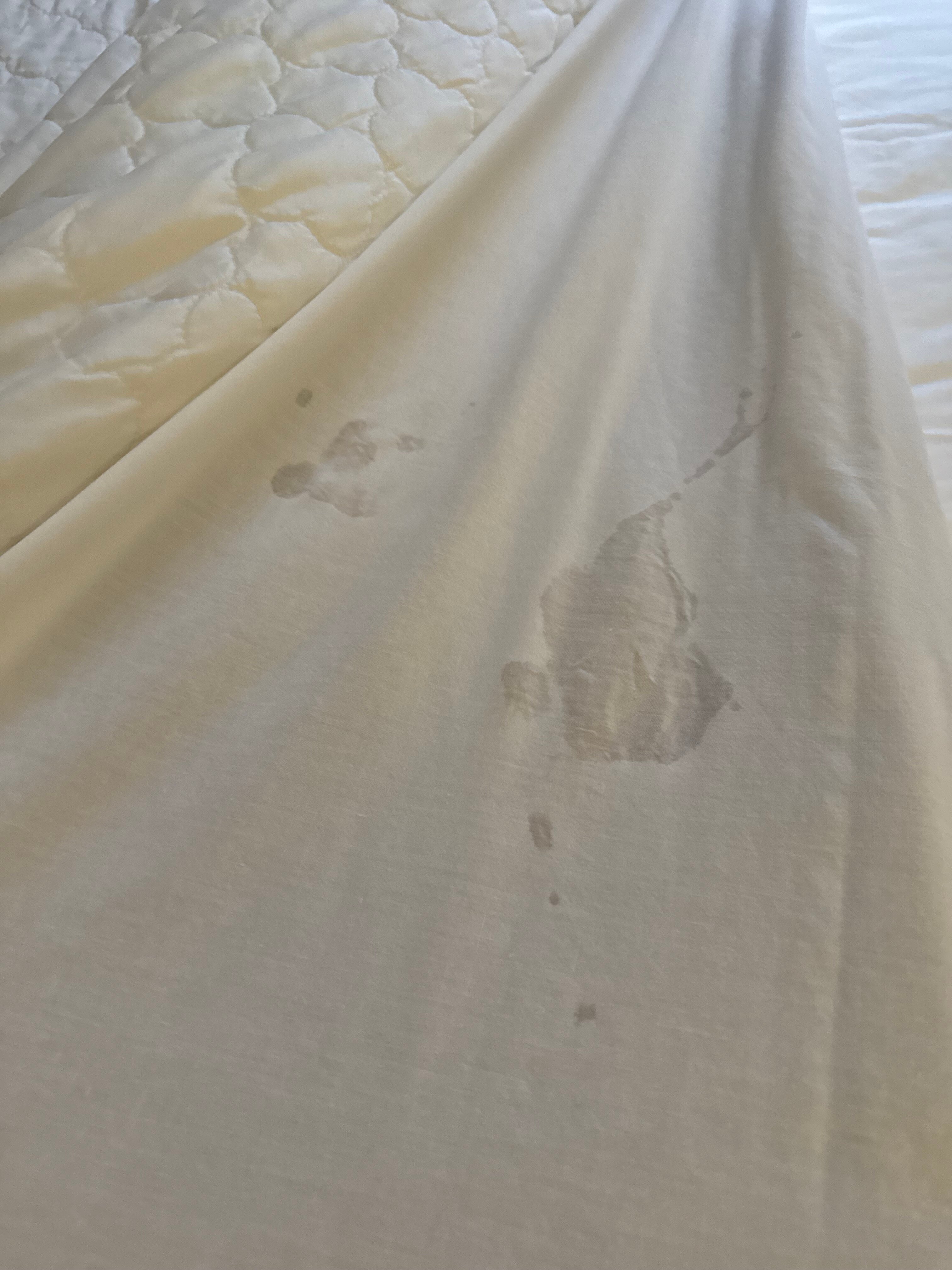 杜邦盖斯特豪斯旅馆&套房酒店-官方