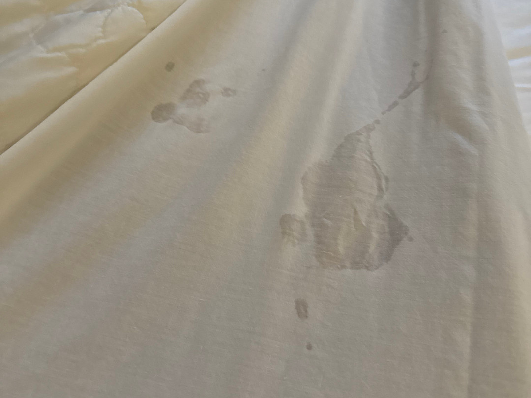 杜邦盖斯特豪斯旅馆&套房酒店主图