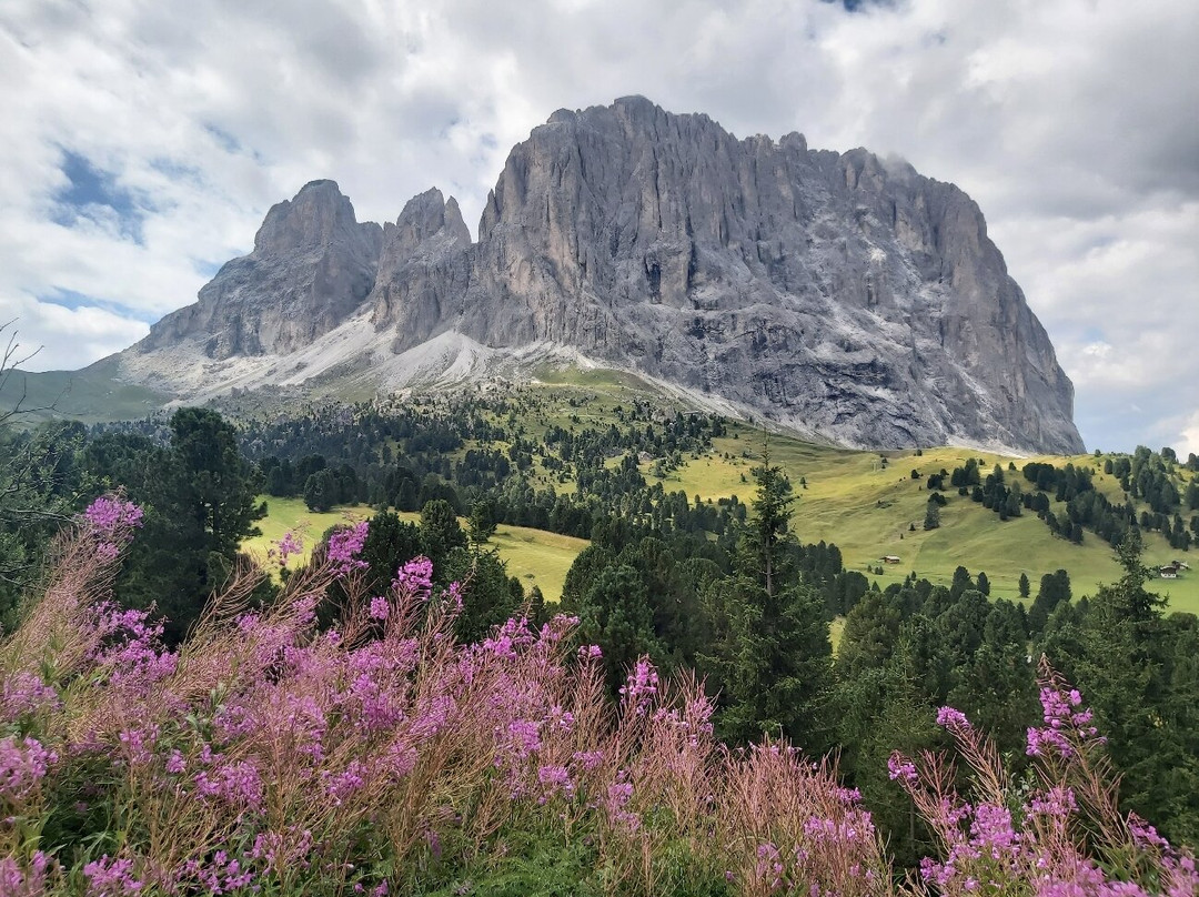 Sassolungo-塞尔瓦迪加尔代纳必去景点