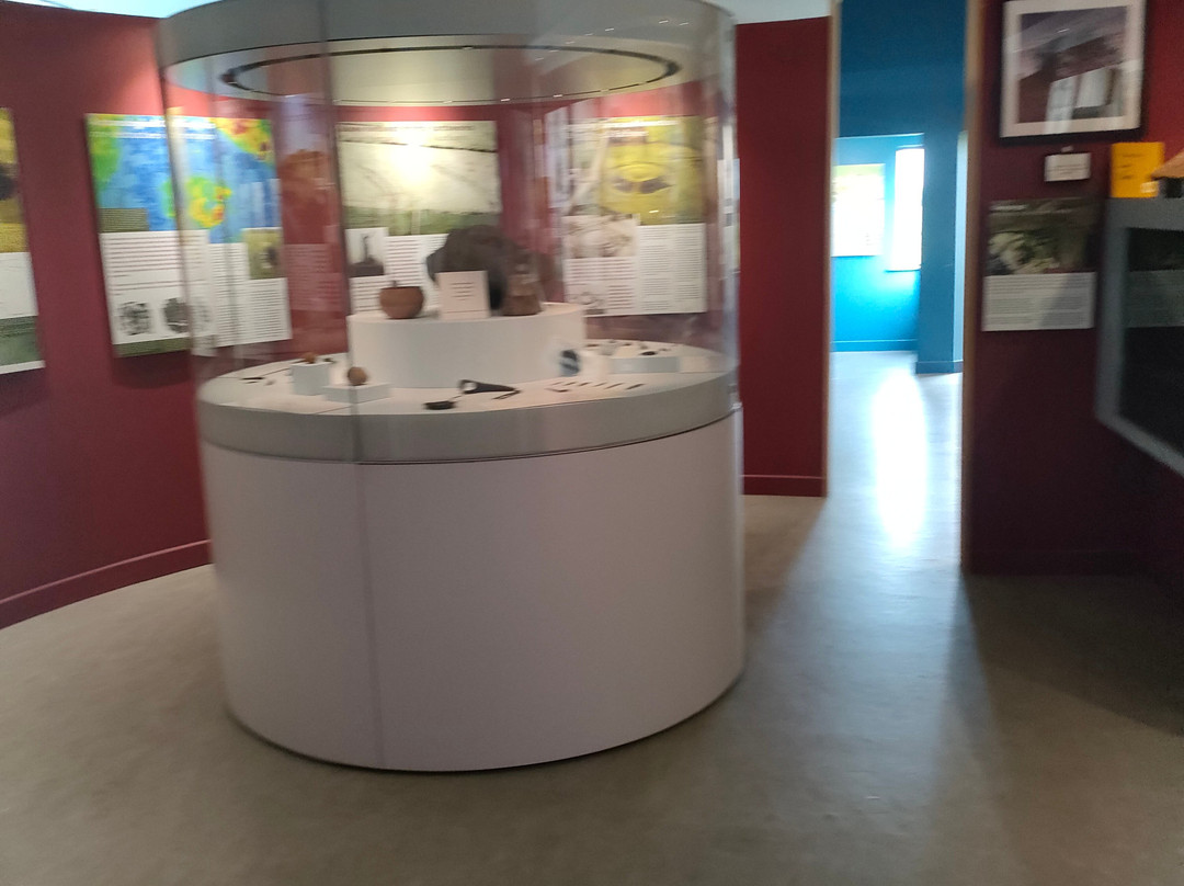 Rathcroghan Royal Site & Visitor Centre-Tulsk必去景点