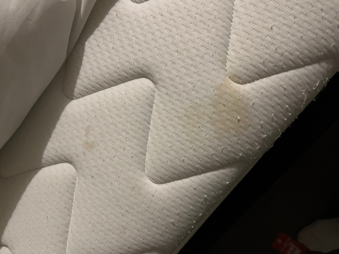 宜必思圣路易斯酒店主图