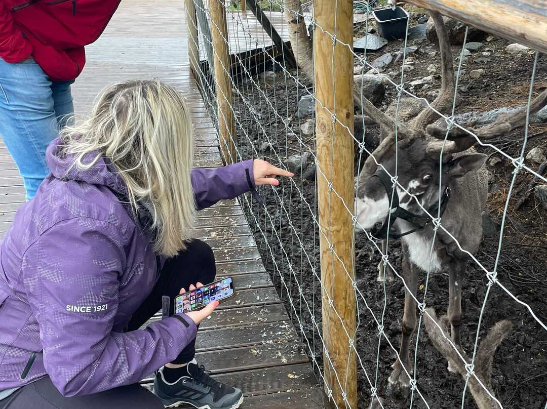 Booking Kirkenes-希尔克内斯必去景点