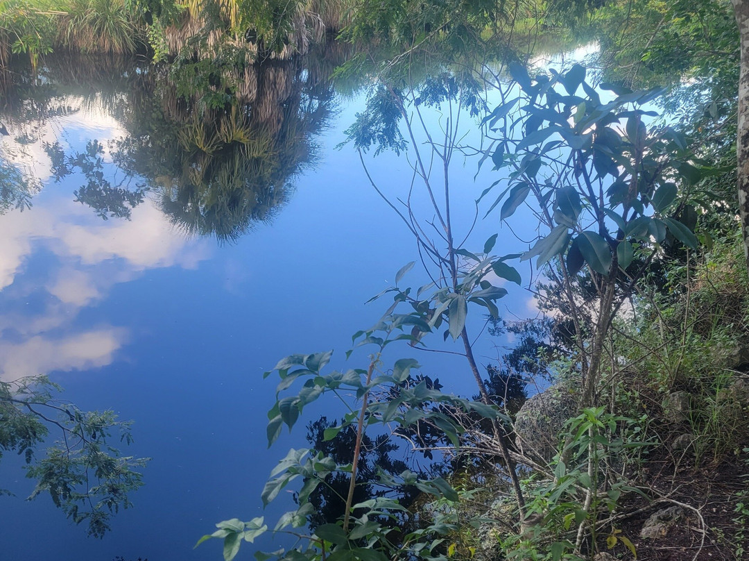 Big Cypress National Preserve-奥乔皮必去景点