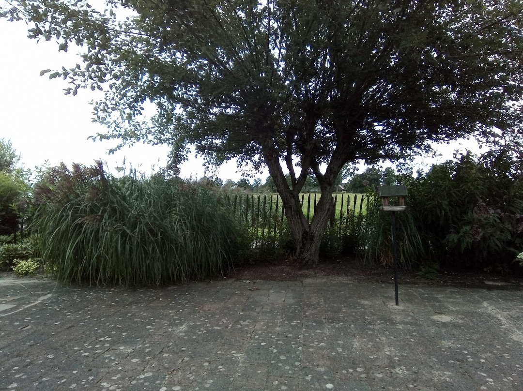 Bed & Breakfast El Manso