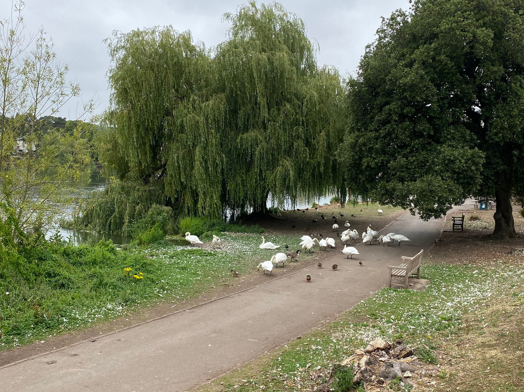 Roath Park-卡迪夫必去景点