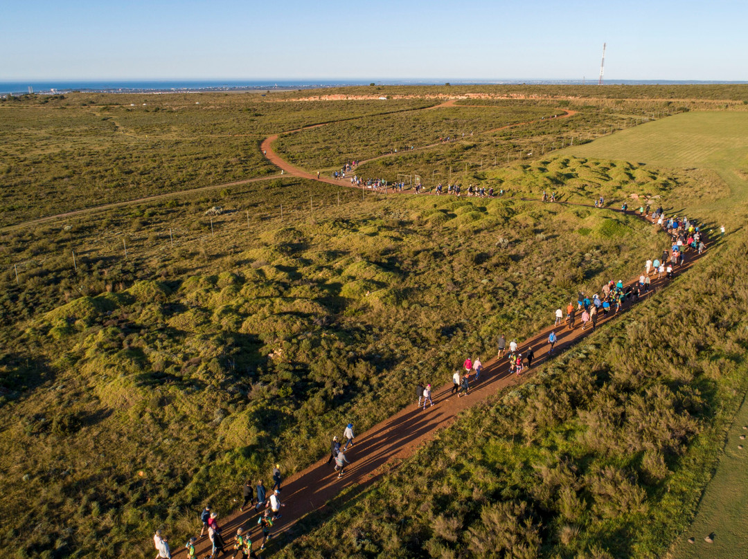 Mentors Country Estate主图