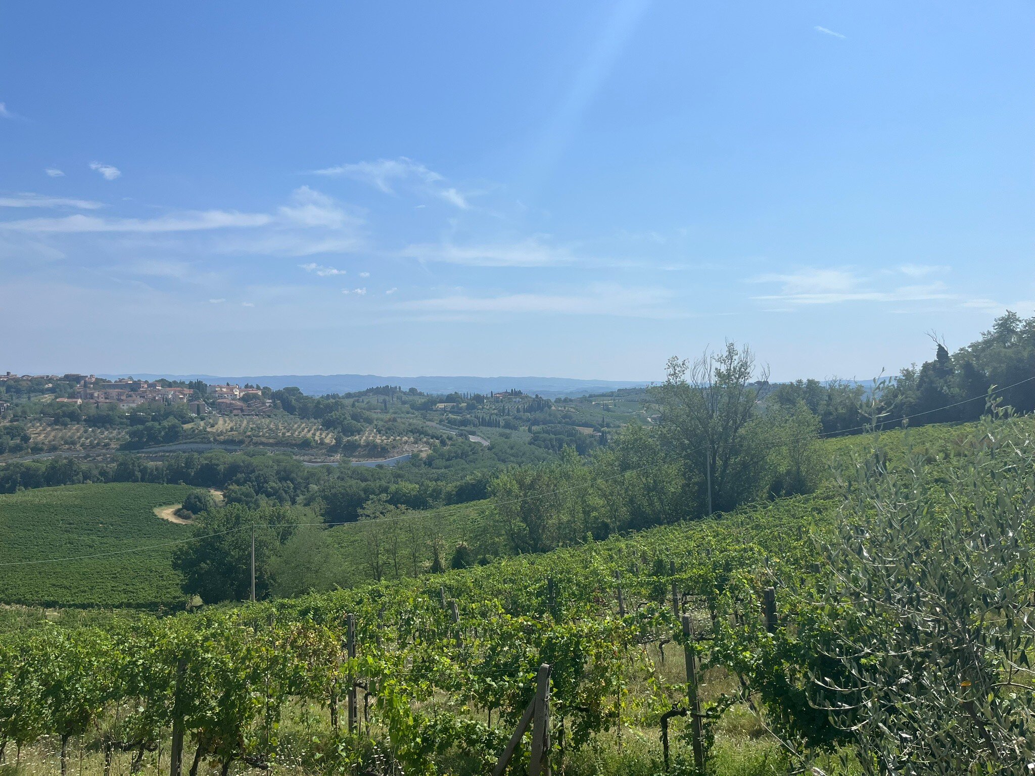 Podere Sant'Elena-官方