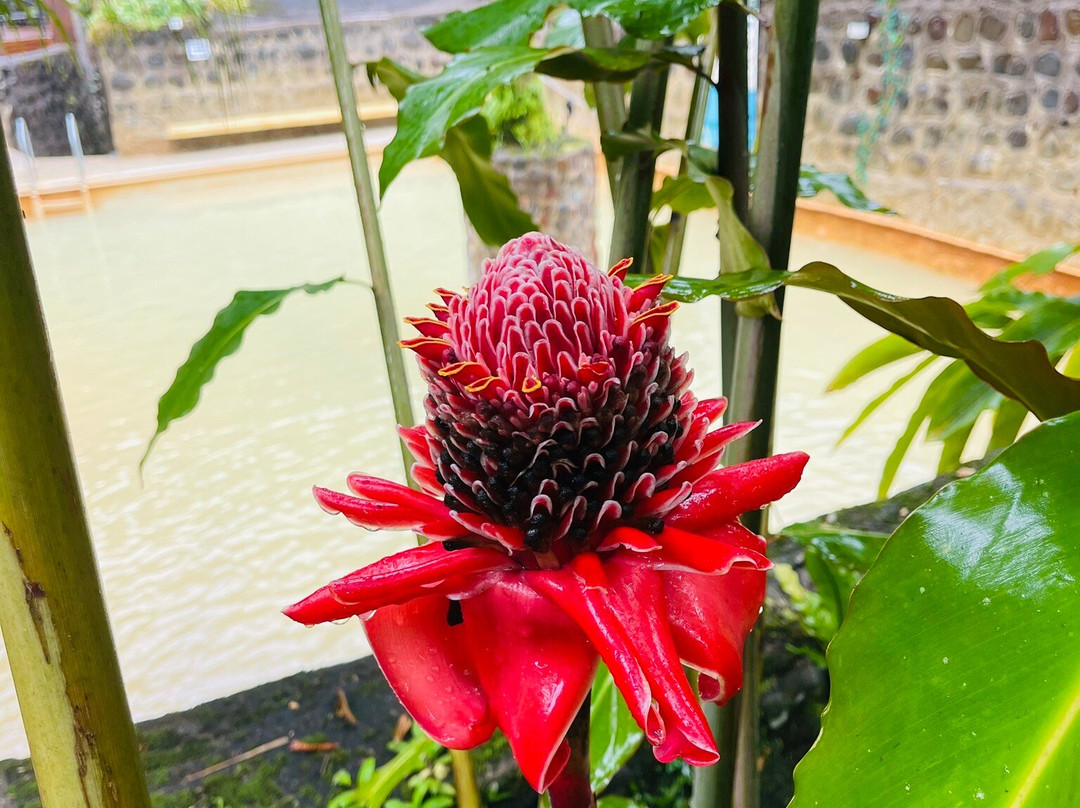 Recreo Verde Hotel Hot Springs and Spa-阿拉辉拉必去景点