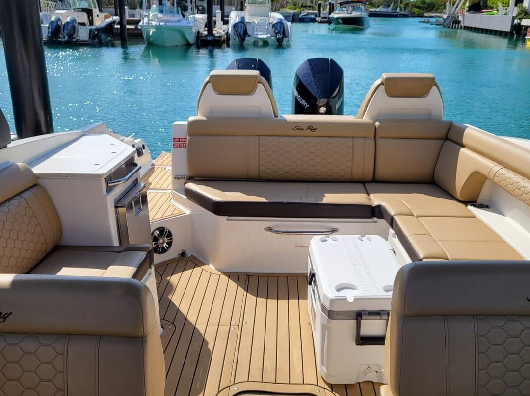 Blue Ocean Tours-Turtle Cove必去景点