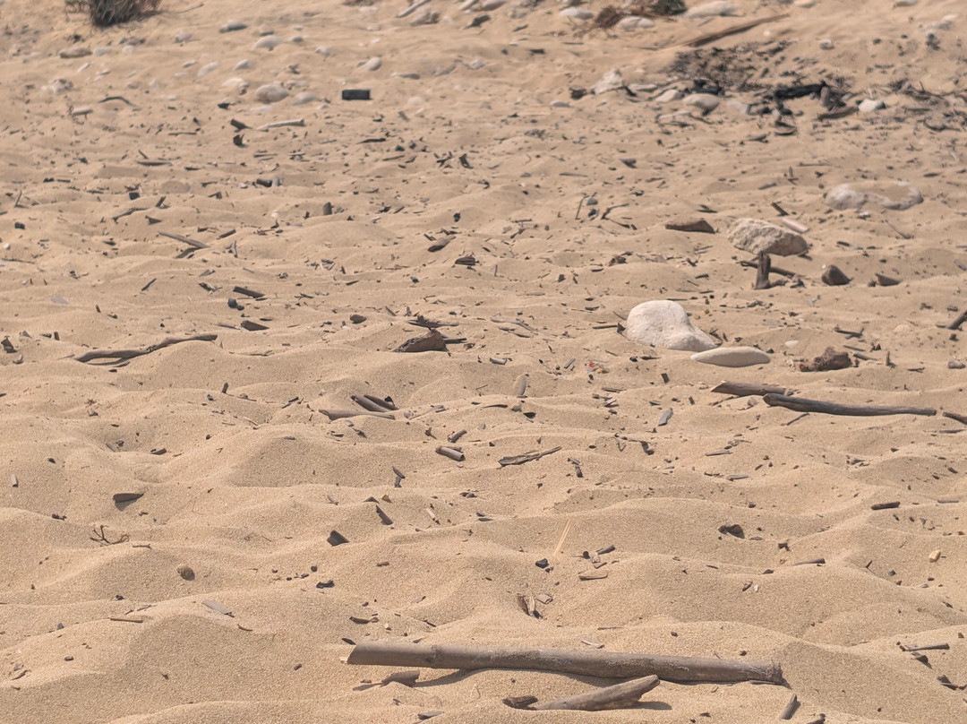 Spiaggia Pineta del Gelsomineto-Cassibile必去景点