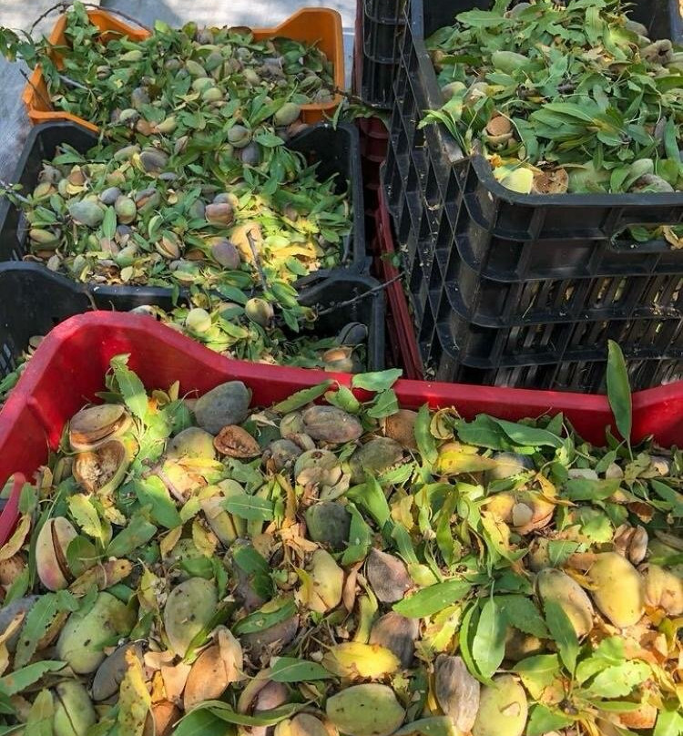 Gea Olympou-Plaka必去景点