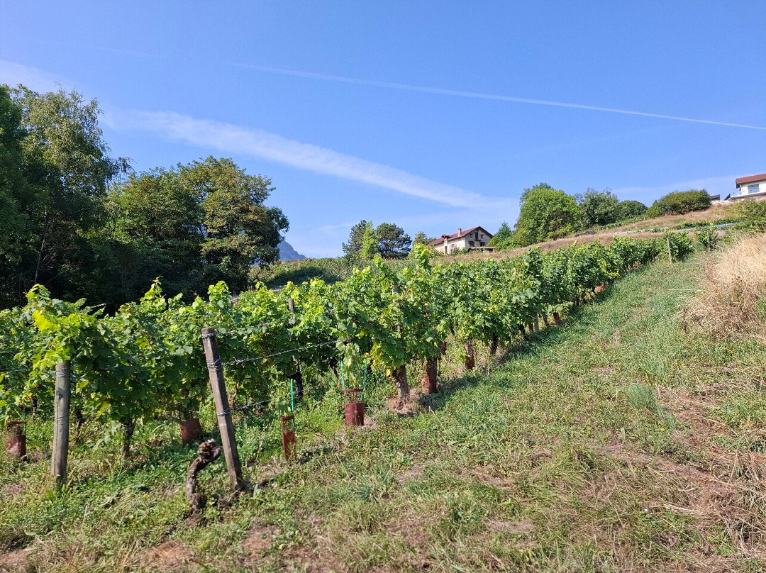 Lac de Saint-André-Les Marches必去景点