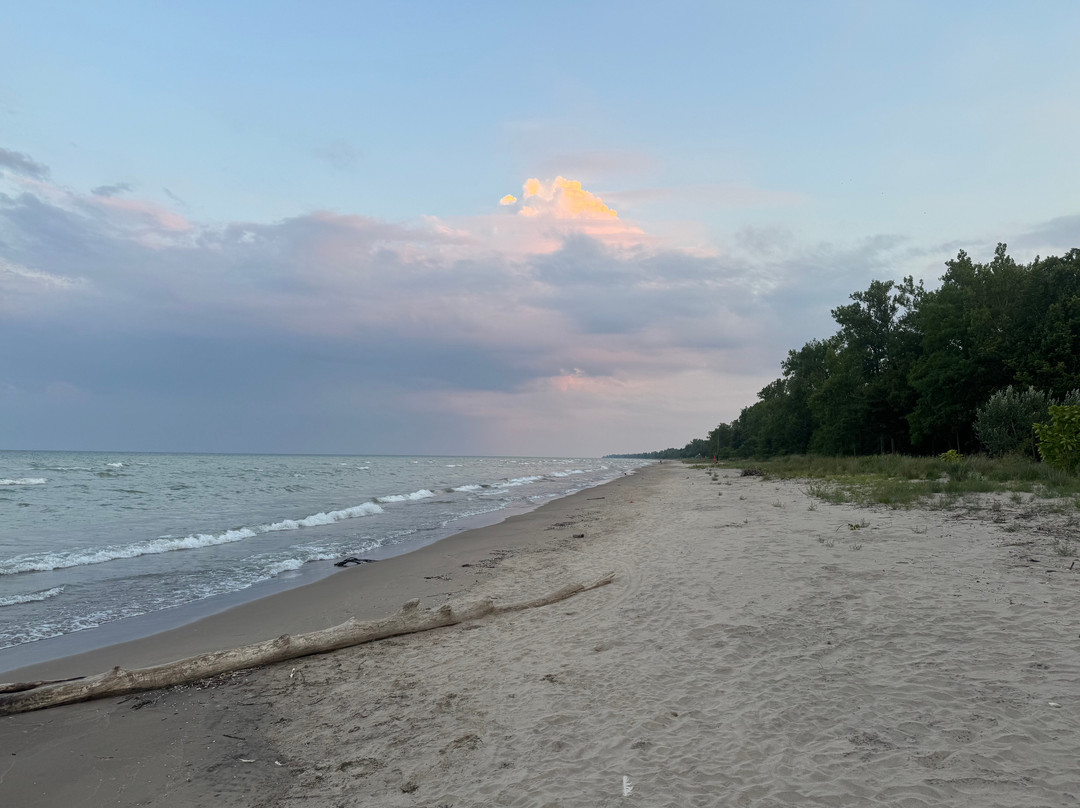 Rondeau Provincial Park-Morpeth必去景点