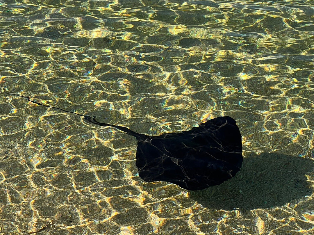 Komitsa Beach-Koumitsa必去景点