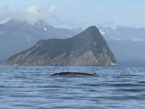 Seacor Tours-苏厄德必去景点
