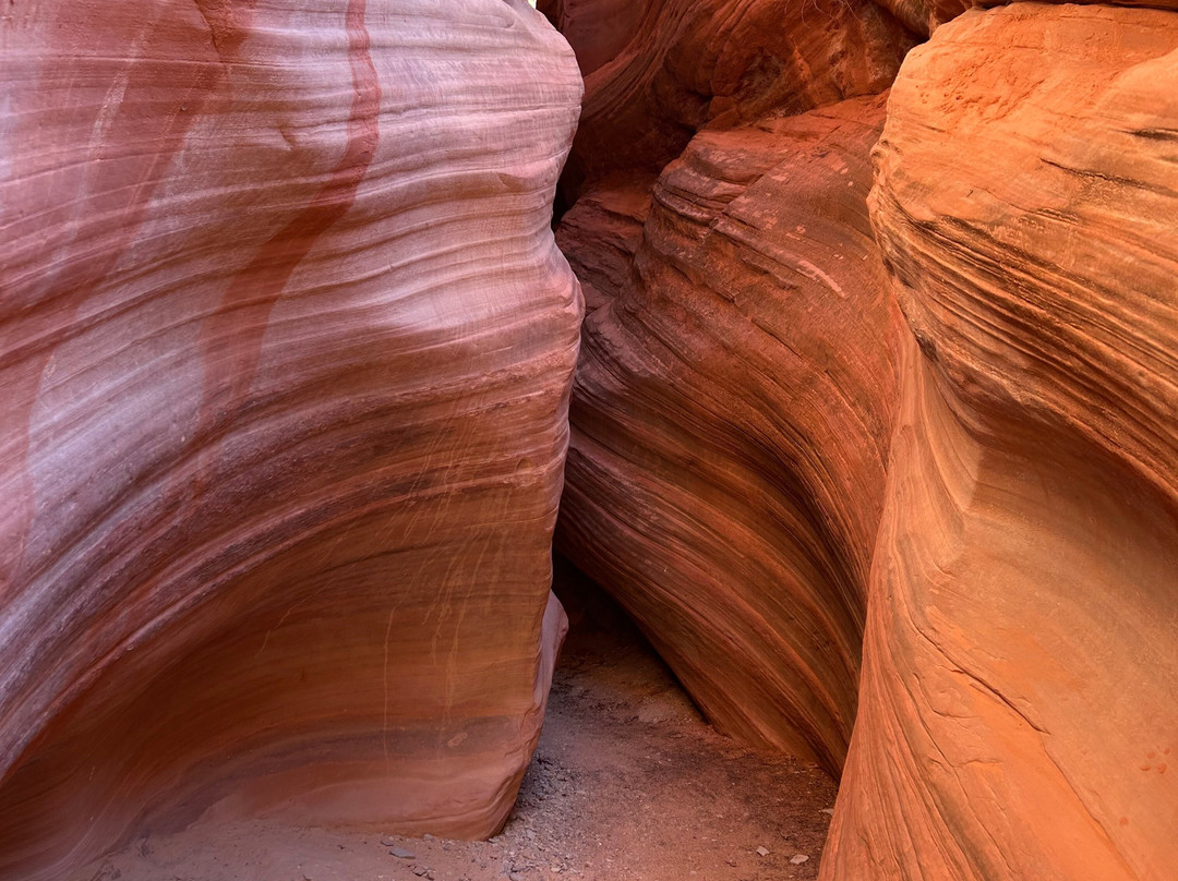 HANKSVILLE TOURS AND MOTORSPORTS RENTALS-Hanksville必去景点