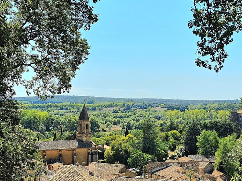 Wonders Of Provence Private Tours-圣雷米必去景点