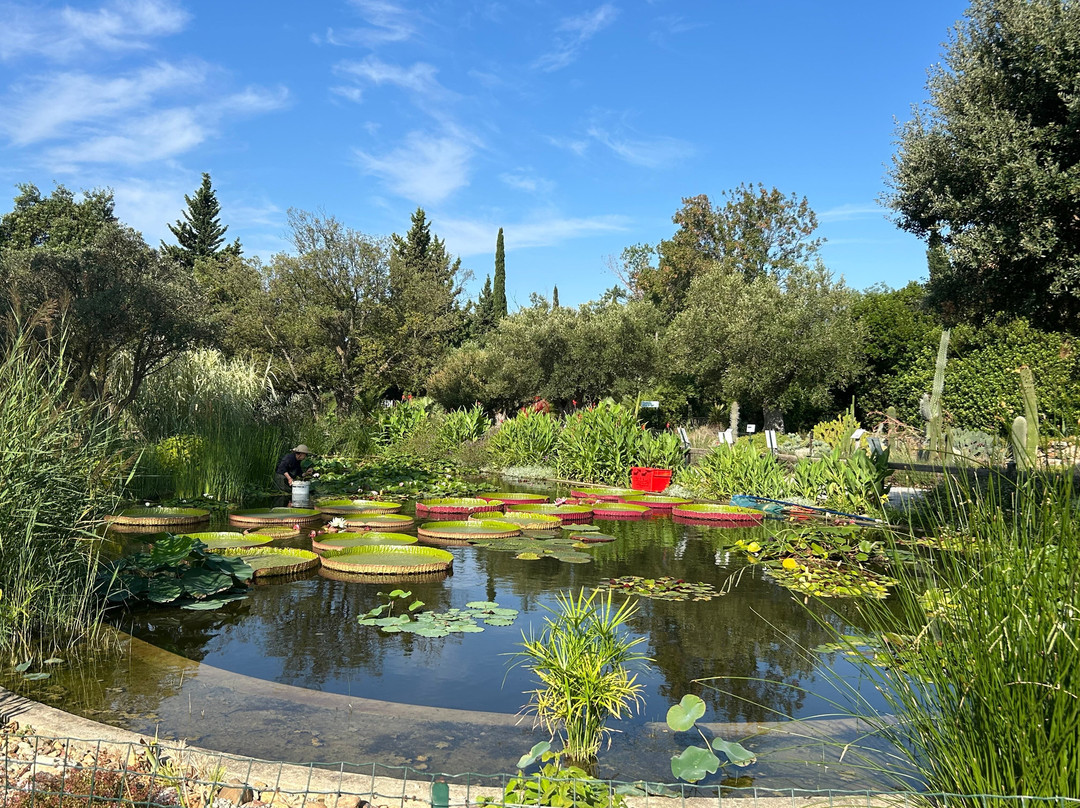 L'Arboretum-卡内鲁西永必去景点