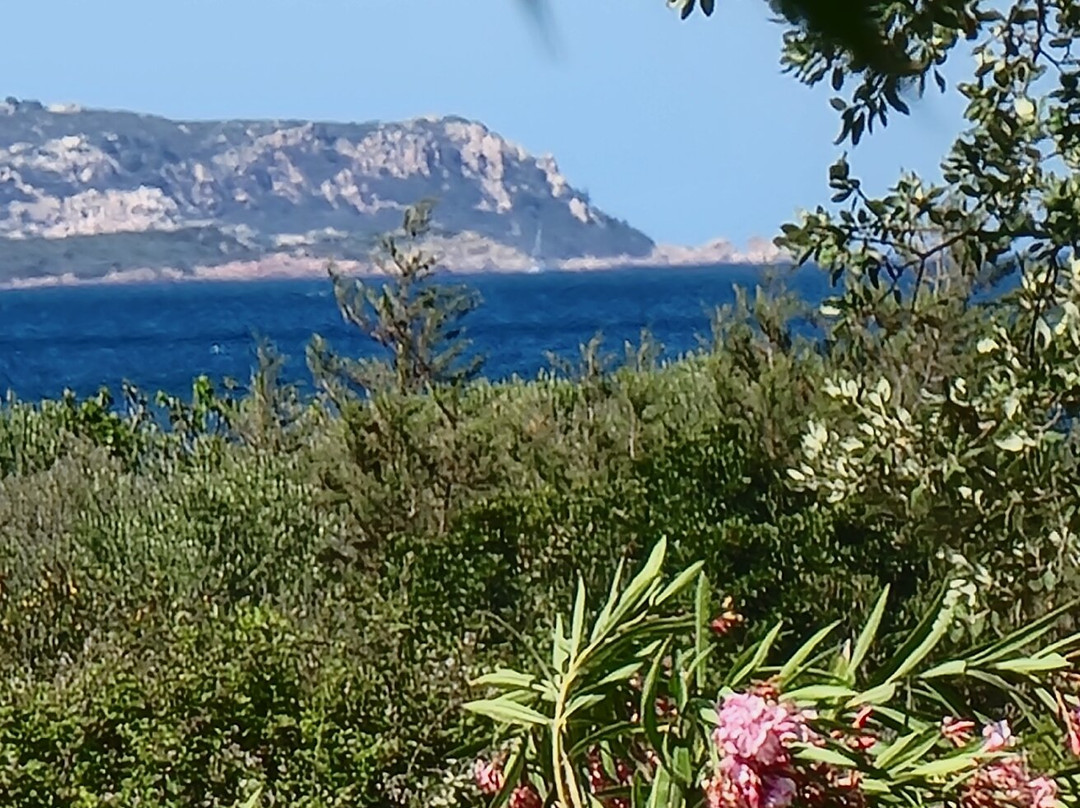 Spiaggia Isuledda