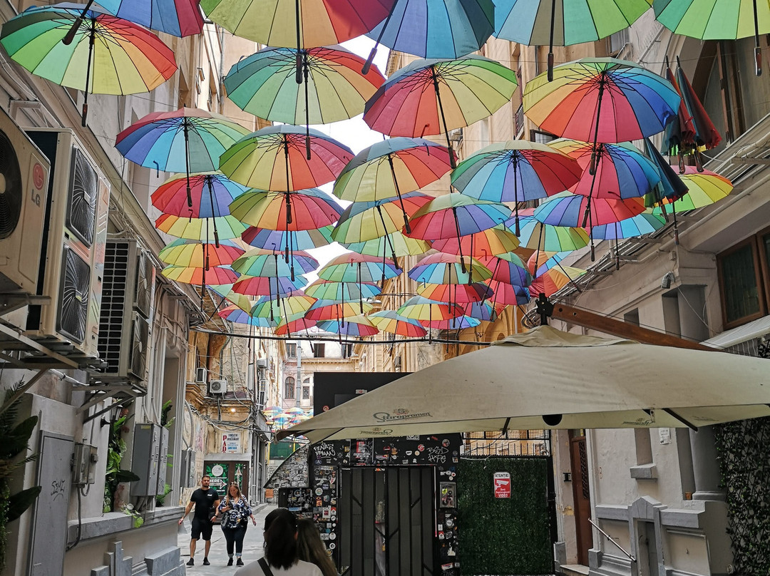 Pasajul Victoriei-布加勒斯特必去景点