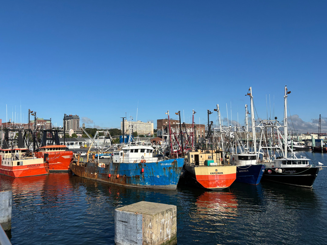 Seastreak Ferry- New Bedford-新贝德福德必去景点