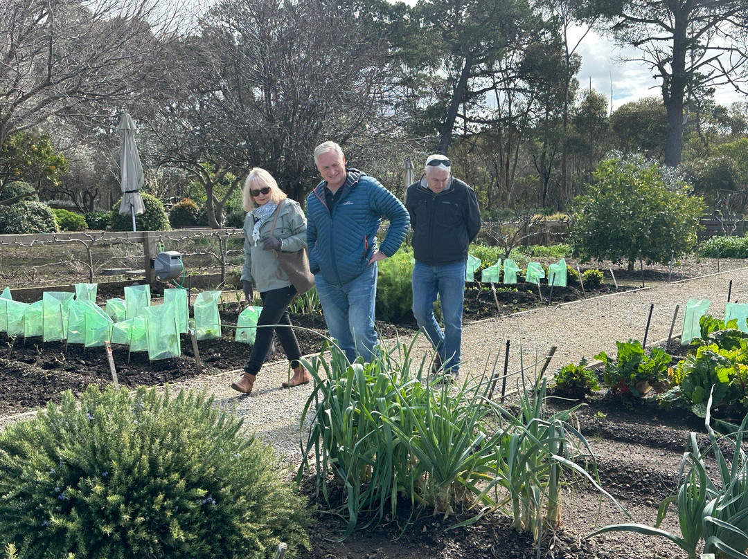 Basils Farm-皇后崖必去景点