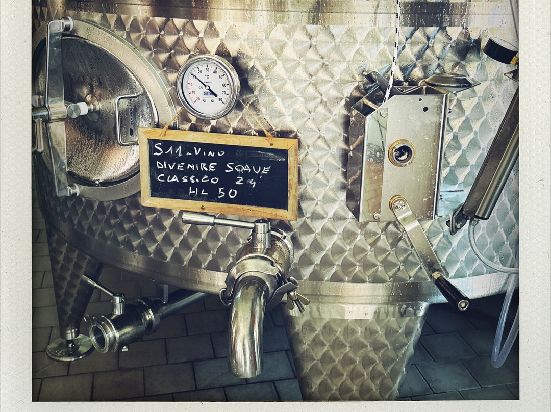Cantina del Castello-Soave必去景点