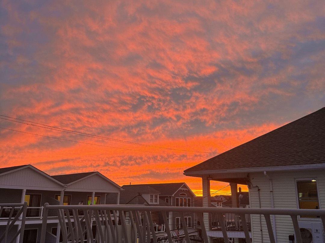 Sunflower Beach Club主图