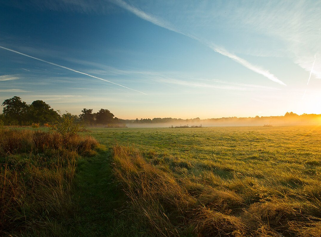 Clandon Wood-East Clandon必去景点
