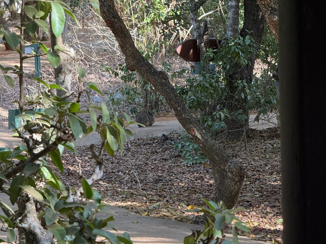 Cinnamon Hotels and Resorts-Yala必去景点