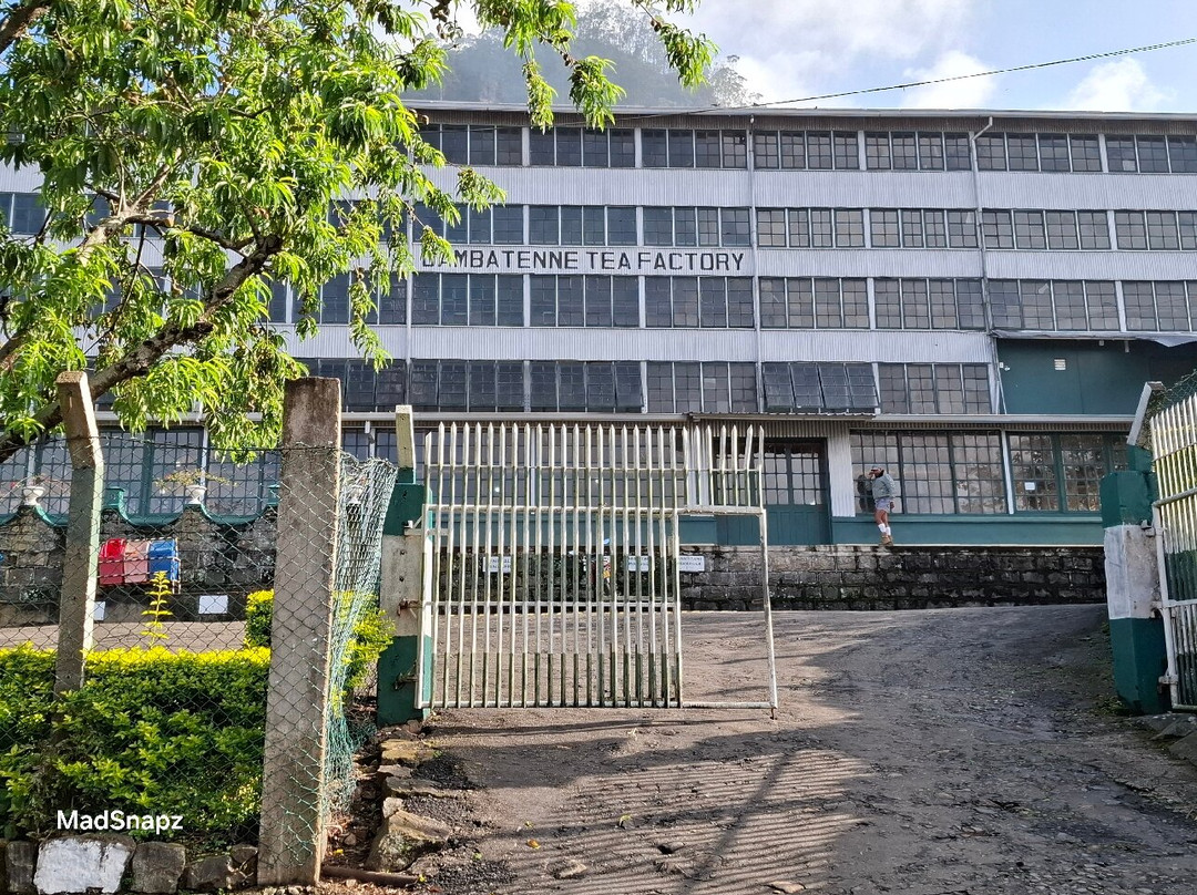 Haputale Tuk Tuk Tours