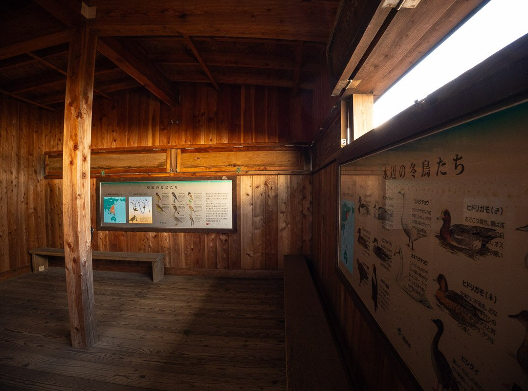 Lake Utonai Sanctuary-苫小牧市必去景点