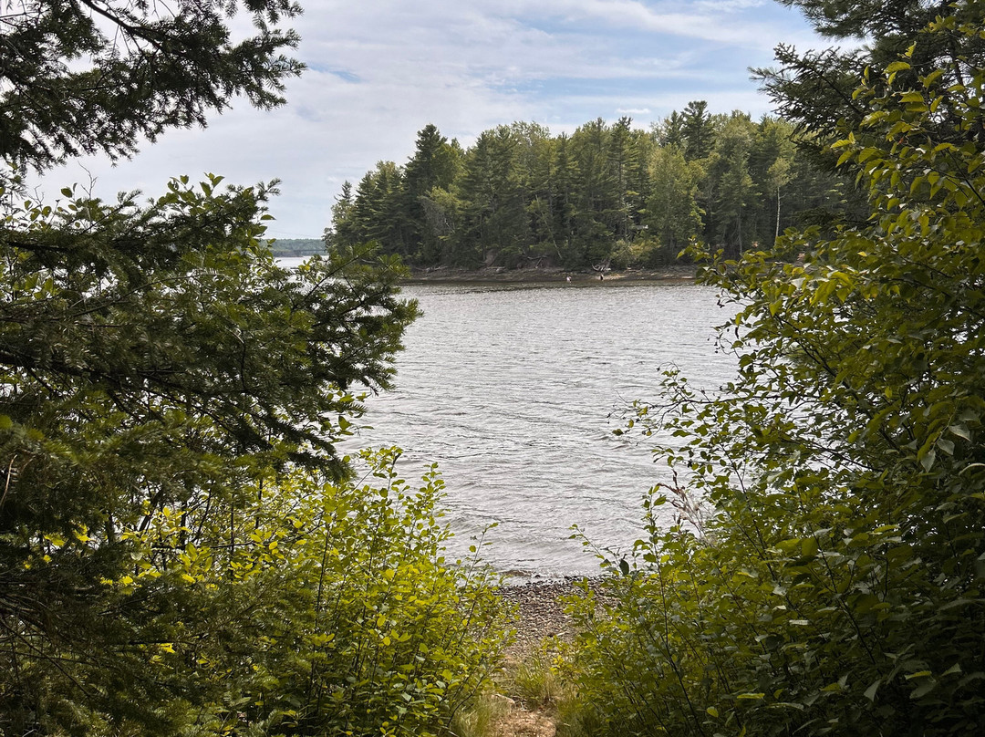 Beaubears Island Interpretive Centre-Miramichi必去景点
